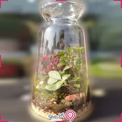 تراریوم سودا