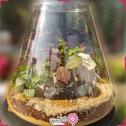 تراریوم مهتاب