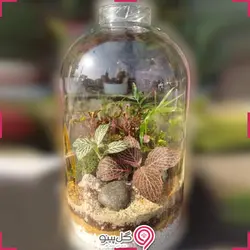 تراریوم آیسا