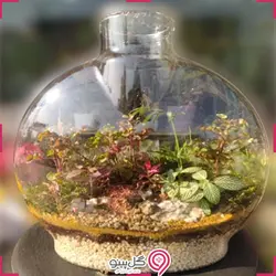 تراریوم آیدن