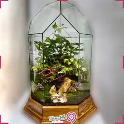 تراریوم شش ضلعی طبیعت