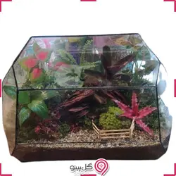 تراریوم مانترا