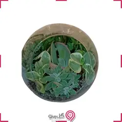 تراریوم السانا