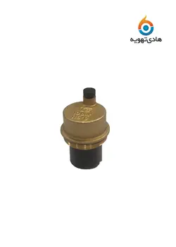 ایرونت برنجی باکسی