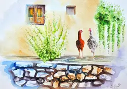 مرغ و خروس - Hamid Sheikhi