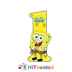 استند عدد تم باب اسفنجی کد590