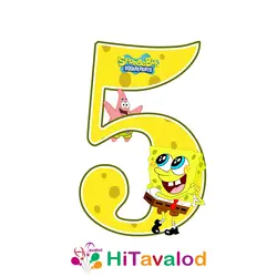 استند عدد تم باب اسفنجی کد590