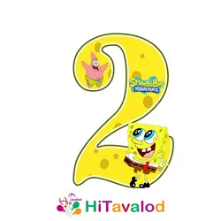 استند عدد تم باب اسفنجی کد590