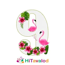 استند عدد تم فلامینگو کد880