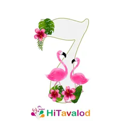 استند عدد تم فلامینگو کد880