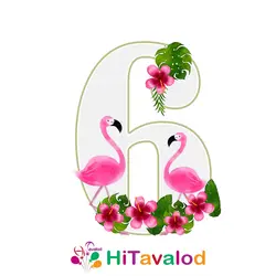 استند عدد تم فلامینگو کد880