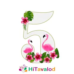 استند عدد تم فلامینگو کد880