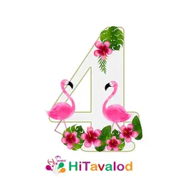 استند عدد تم فلامینگو کد880