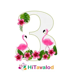 استند عدد تم فلامینگو کد880