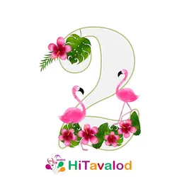 استند عدد تم فلامینگو کد880