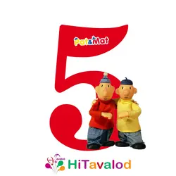 استند عدد تم پت و مت کد1803