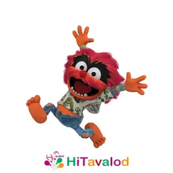 استند تم تولد ماپت ها کد5