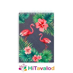 دفتر نقاشی 60 برگ مدل فلامینگو کد N117