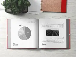 مقدمه ای بر قهوه