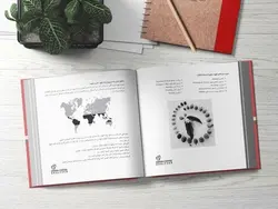 مقدمه ای بر قهوه