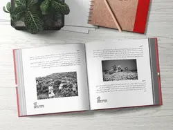 مقدمه ای بر قهوه