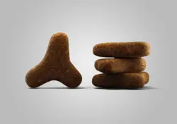 غذای خشک مخصوص گربه بالغ بدغذا جوسرا نیم کیلویی با طعم مرغ و ماهی_Josera