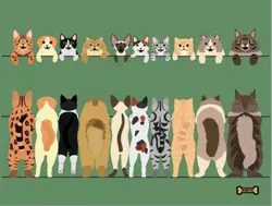 پتو رومبلی کوچک 70*90  سانتی حناپت_Hanna Pet