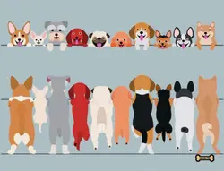 پتو رومبلی کوچک 70*90  سانتی حناپت_Hanna Pet