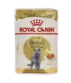 پوچ گربه مدل British short hair رویال کنین_Royal Canin