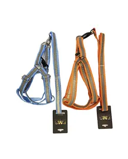 قلاده کتفى سگ شبرنگ همراه با لید_BMS Group