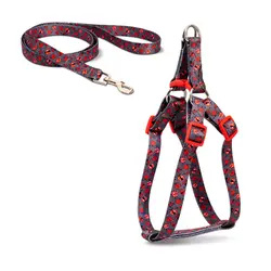 قلاده کتفی مدل ریتم سایز ۱ همراه با لید نیناپت_nina pet