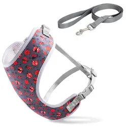 قلاده کتفی پد دار سایز ۱ VIP همراه با لید نینا پت_nina pet