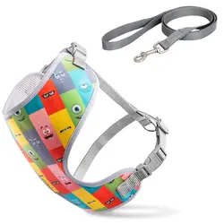 قلاده کتفی پد دار سایز ۱ VIP همراه با لید نینا پت_nina pet