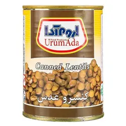 کنسرو عدسی اروم آدا 400 گرمی