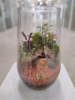 تراریوم شیشه ای