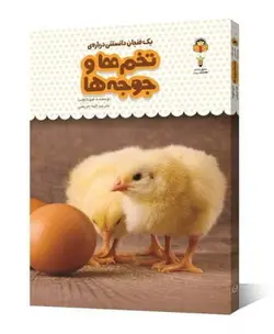یک فنجان دانستنی درباره ی تخم ها و جوجه ها