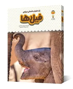 یک فنجان دانستنی درباره ی فیل ها