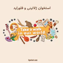 استخوان ژلاتینی گود بوی در ۵ سایز (کارتن 10 عددی ) - عمده فروشی محصولات حیوانات خانگی