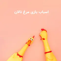 اسباب بازی مرغ نالان ( کارتن 10 عددی ) - عمده فروشی محصولات حیوانات خانگی