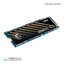 قیمت و خرید حافظه SSD M.2 ام اس ای NVME SPATIUM M371 ظرفیت 500 گیگابایت | ITSKALA