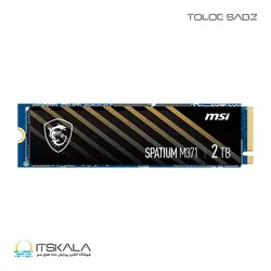 قیمت و خرید حافظه SSD M.2 ام اس ای NVME SPATIUM M371 ظرفیت 500 گیگابایت | ITSKALA