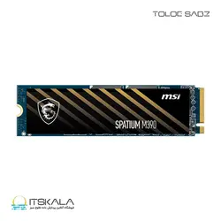 قیمت و خرید حافظه SSD M.2 ام اس ای SPATIUM M390 ظرفیت 250 گیگابایت | ITSKALA
