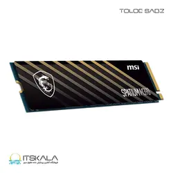 قیمت و خرید حافظه SSD M.2 ام اس ای SPATIUM M390 ظرفیت 250 گیگابایت | ITSKALA