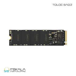 قیمت و خرید حافظه SSD لکسار مدل Lexar NM620 M.2 2280 SSD 256GB | ITSKALA