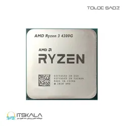 قیمت و خرید پردازنده باکس ای ام دی Ryzen3 4300G با فرکانس 3.8 گیگاهرتز | ITSKALA