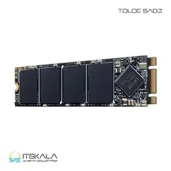 قیمت و خرید حافظه SSD لکسار مدل Lexar NM100 M.2 2280 SATA III (6Gb/s) SSD 512GB | ITSKALA