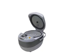 پلوپز بایترون BITRON BRC-E5