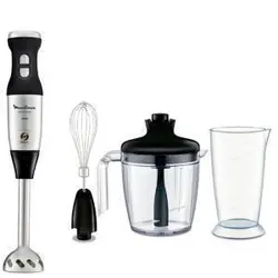 خردکن و همزن مولینکس مدل DD88