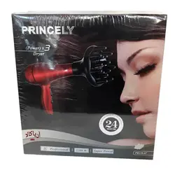 سشوار حرفه ای پرنسلی مدل PR228