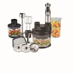 گوشتکوب 12 کاره استیل دلمونتی DL-395